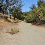 Paramount_117 (October 18, 2014)